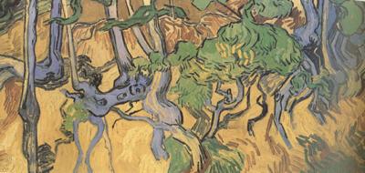 Vincent Van Gogh Tree Root and Trunks (nn04) oil painting image